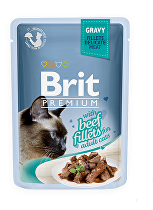 Brit Premium Cat D Fillets in Jelly Family
