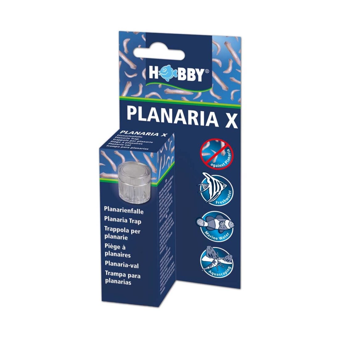 Hobby past na ploštěnky Planaria X