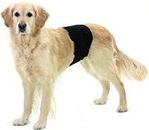 Kalhoty pro psy proti značkování 40x10cm