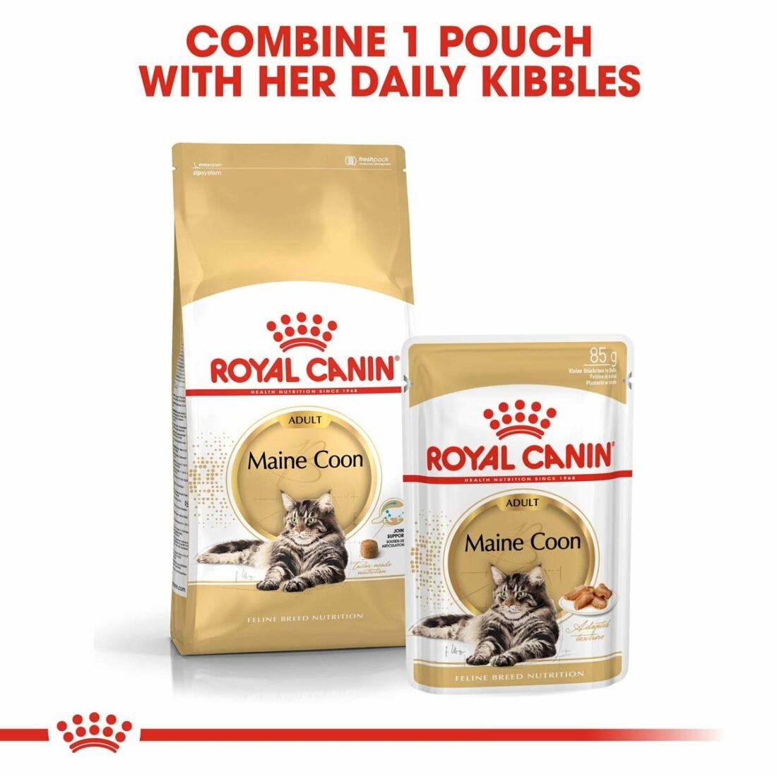 ROYAL CANIN ADULT Maine Coon 10 kg +