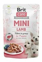 Brit Care Dog Mini Puppy Lamb