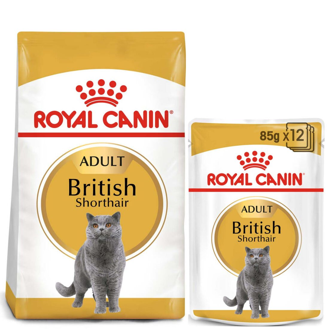ROYAL CANIN ADULT British Shorthair 10 kg +