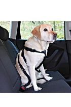 Postroj pes Bezpečnostní do auta