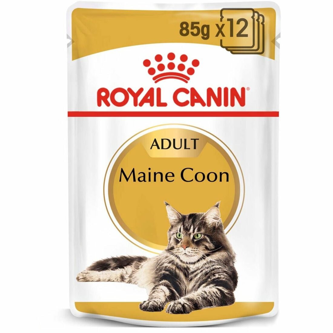 ROYAL CANIN Maine Coon Adult granule pro