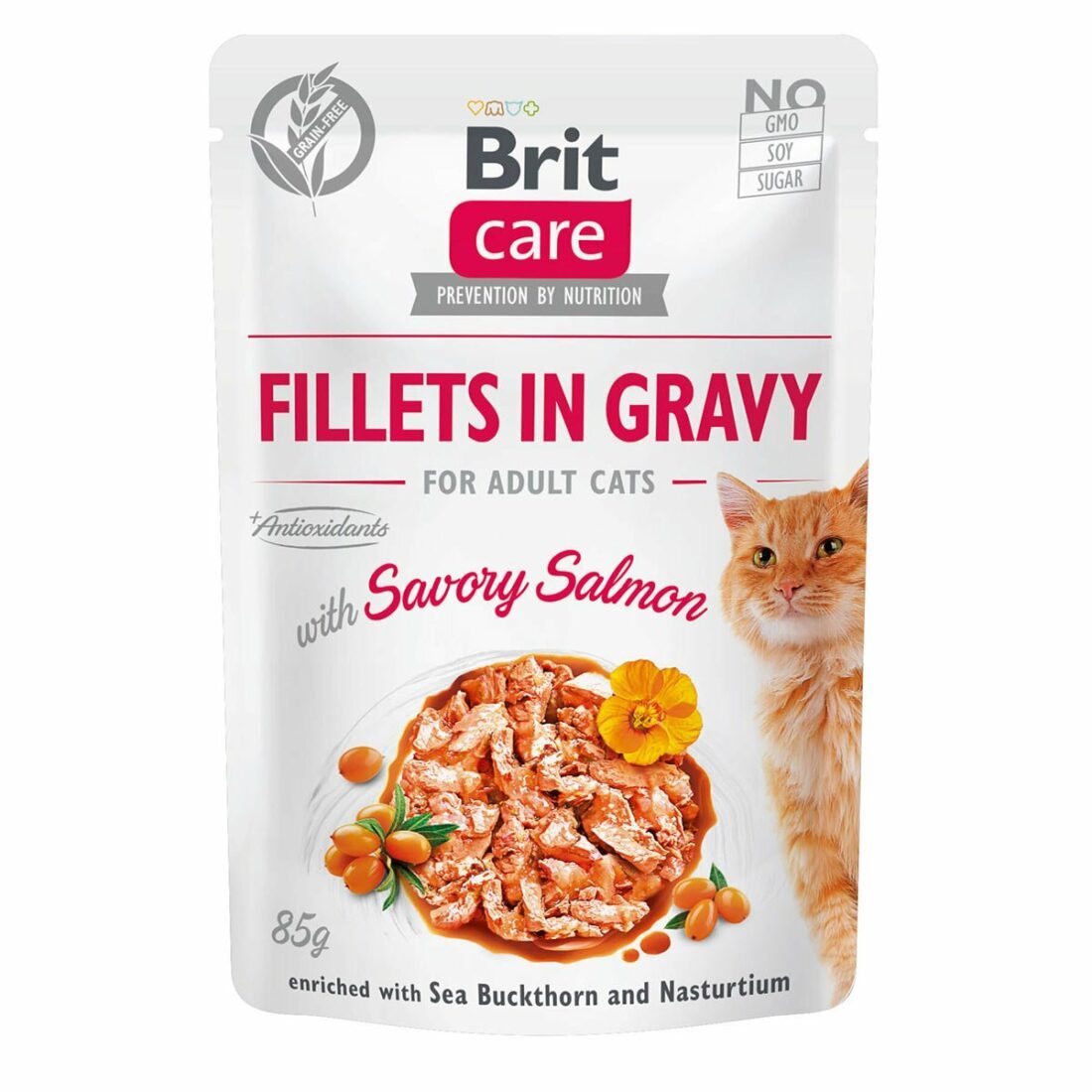 Brit Care Cat filety