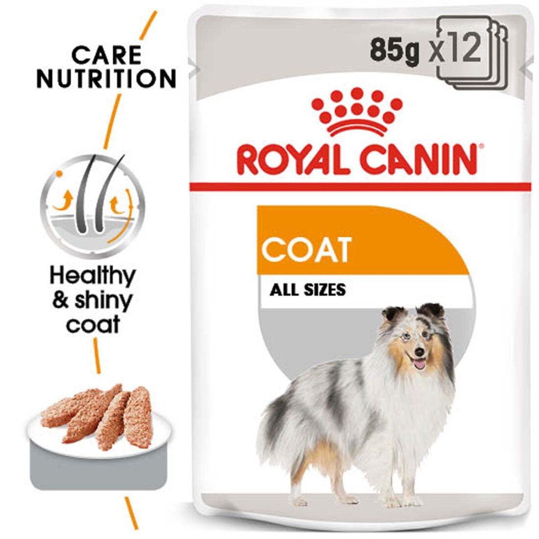 ROYAL CANIN COAT CARE kapsička pro lesklou