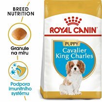 Royal Canin Breed Kavalír King