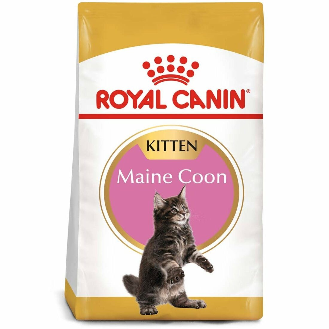 ROYAL CANIN Maine Coon granule pro