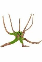 Akvarijní dekorace Kipouss Pavoučí kořen