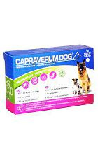 CAPRAVERUM DOG probioticum-prebioticum